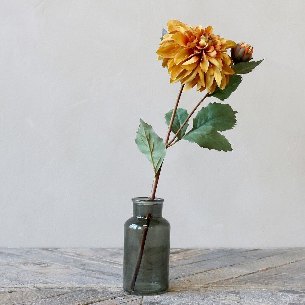 Fleur Dahlie