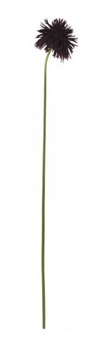 Chic Antique Fleur Dahlie bordeaux online kaufen bei SKANDEKO