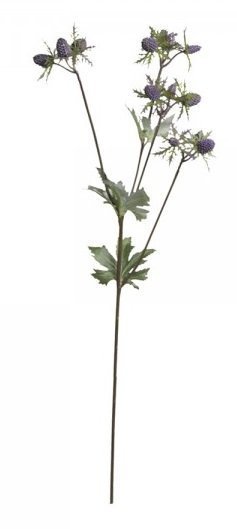 Chic Antique Fleur Distel 1 online kaufen bei SKANDEKO