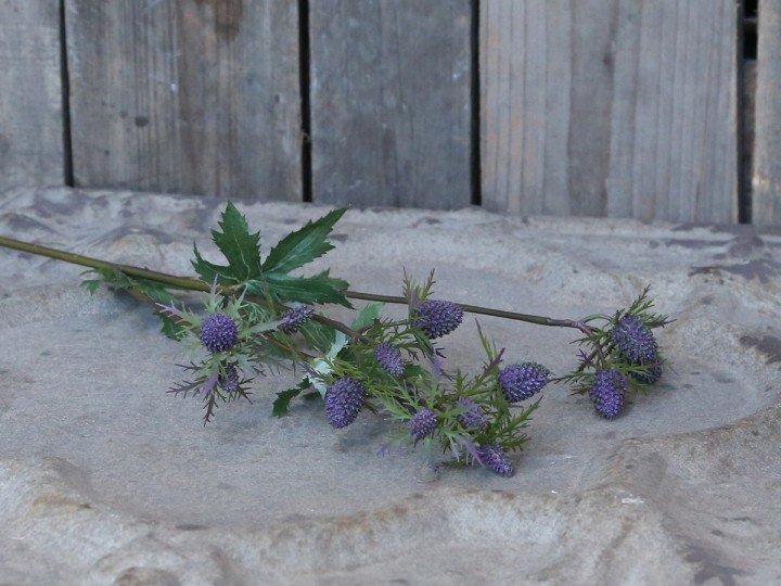 Chic Antique Fleur Distel 1 online kaufen bei SKANDEKO (Ansicht 2)
