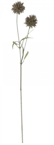 Chic Antique Fleur Distel 2 online kaufen bei SKANDEKO