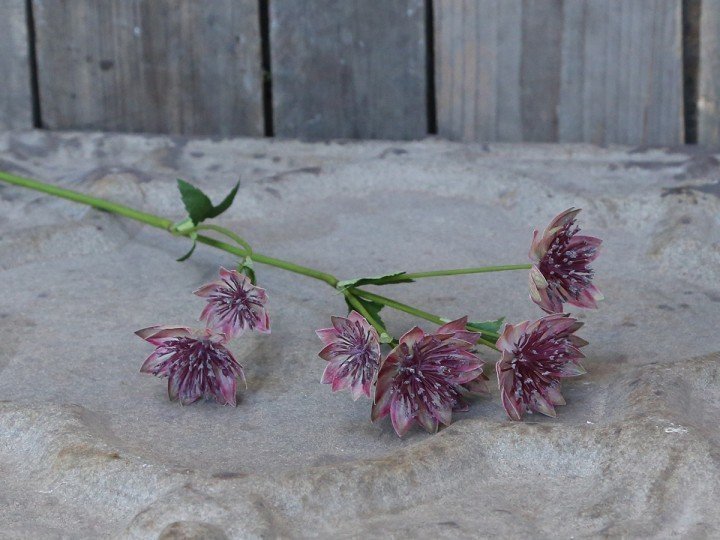 Chic Antique Fleur Distel 4 online kaufen bei SKANDEKO (Ansicht 2)