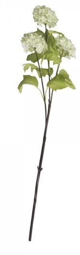 Chic Antique Fleur Echter Schneeball lime online kaufen bei SKANDEKO