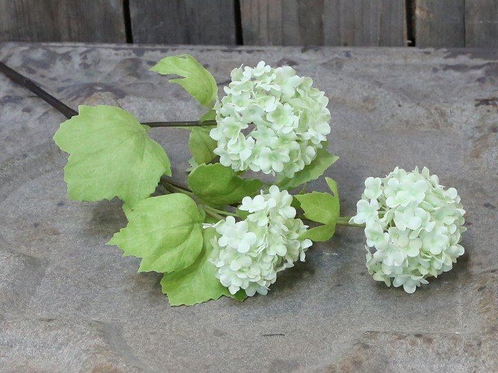 Chic Antique Fleur Echter Schneeball lime online kaufen bei SKANDEKO (Ansicht 2)