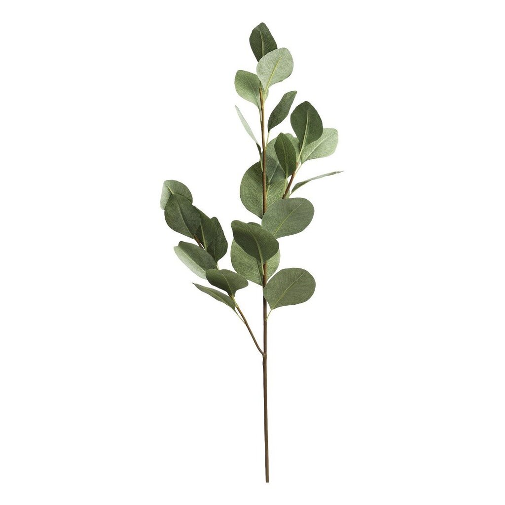 Chic Antique Fleur Eukalyptus Ast online kaufen bei SKANDEKO