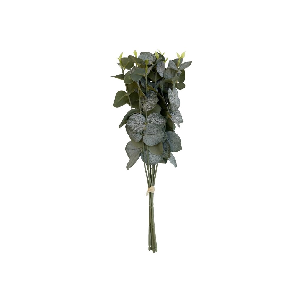 Chic Antique Fleur Eukalyptus Strauss online kaufen bei SKANDEKO