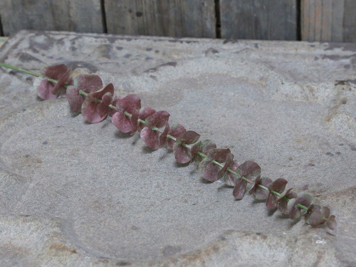 Chic Antique Fleur Eukalyptusblätter online kaufen bei SKANDEKO (Ansicht 2)