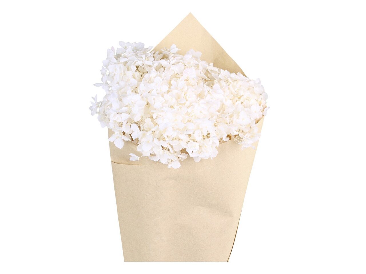 Chic Antique Fleur getrocknete Hortensie Blume online kaufen bei SKANDEKO
