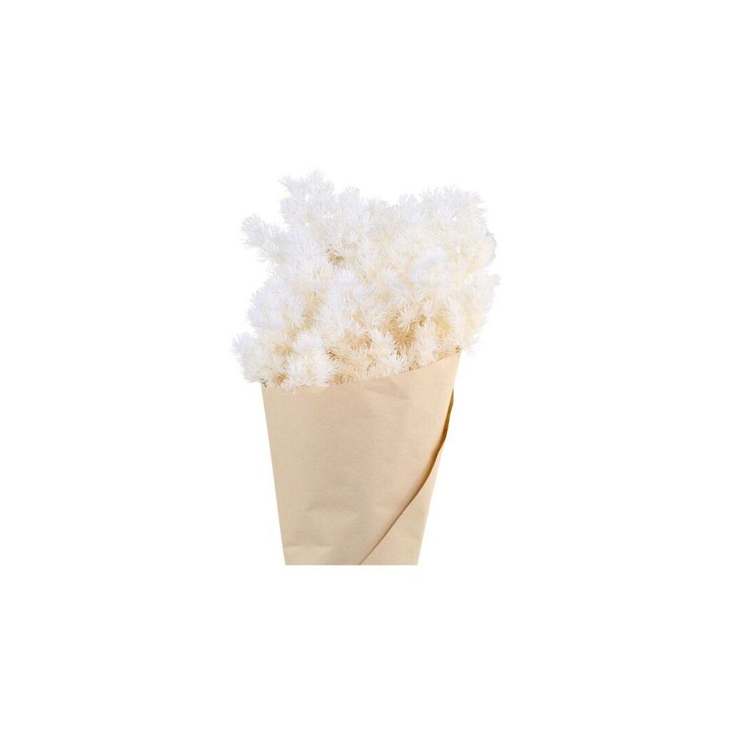 Chic Antique Fleur getrocknete Schleierspargel online kaufen bei SKANDEKO