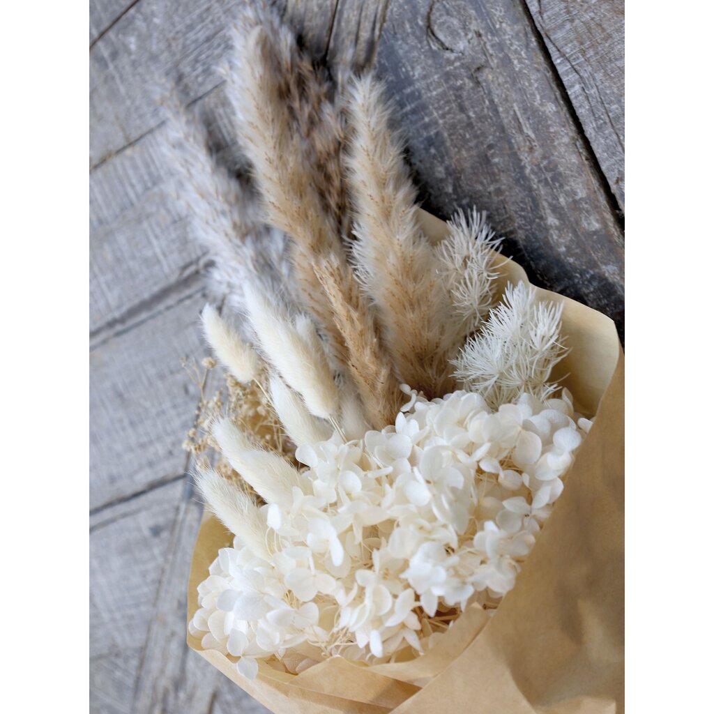 Chic Antique Fleur getrocknete Schleierspargel online kaufen bei SKANDEKO (Ansicht 2)