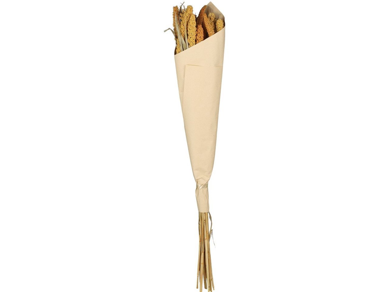 Fleur getrocknete Seterea Blumen