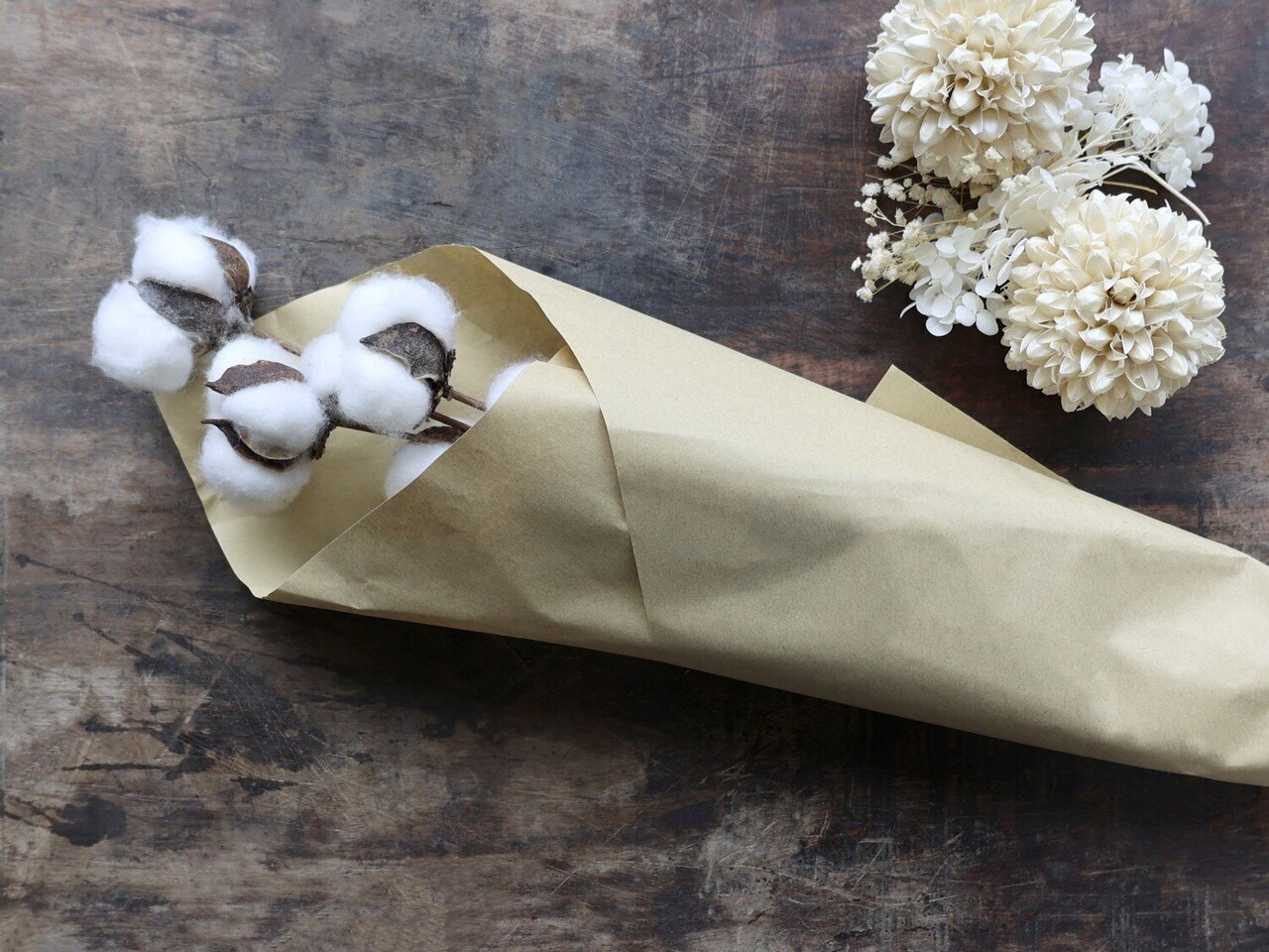 Chic Antique Fleur getrockneter Baumwollzweig online kaufen bei SKANDEKO (Ansicht 2)