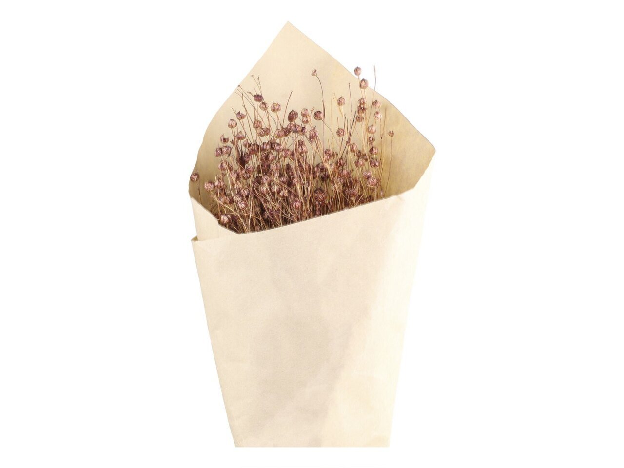 Chic Antique Fleur getrocknetes Flachs online kaufen bei SKANDEKO