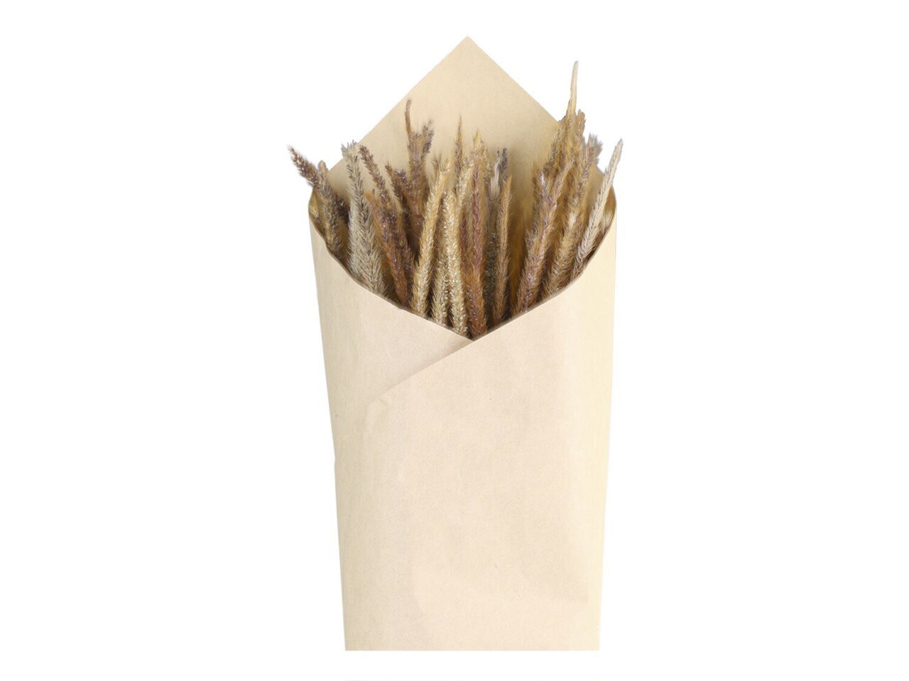 Chic Antique Fleur getrocknetes Lieschgras online kaufen bei SKANDEKO