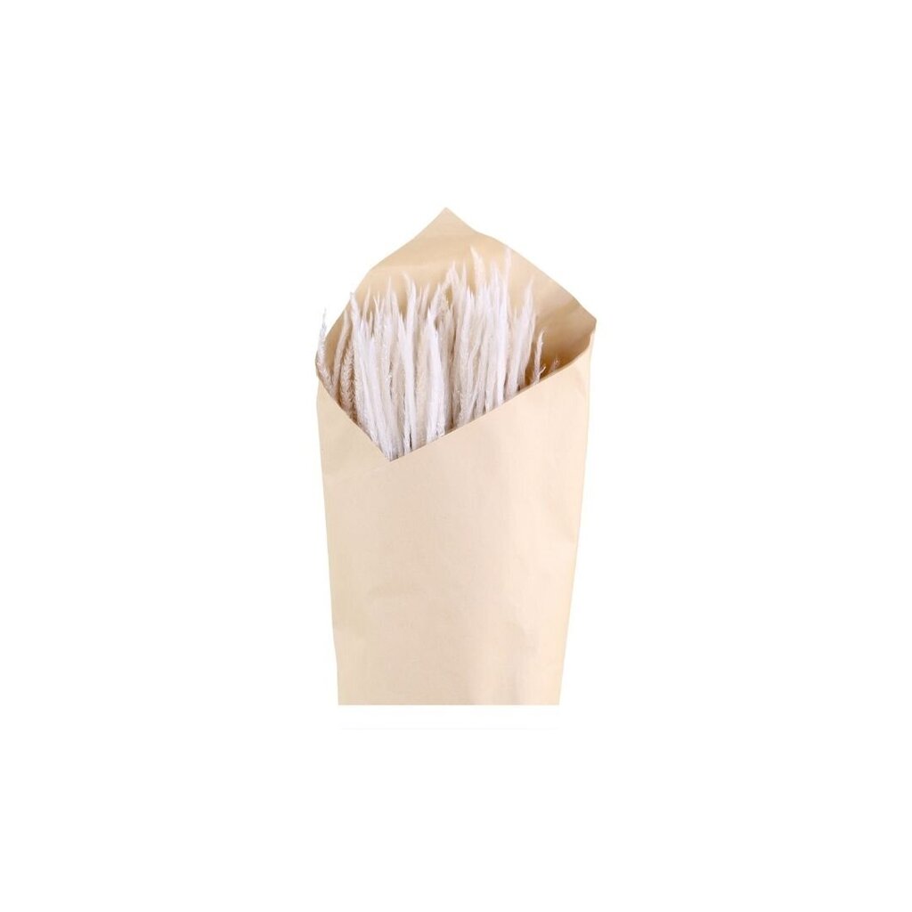 Chic Antique Fleur getrocknetes Pampasgras Phleum online kaufen bei SKANDEKO