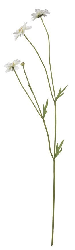 Chic Antique Fleur Gräben Kante Blume 5 online kaufen bei SKANDEKO
