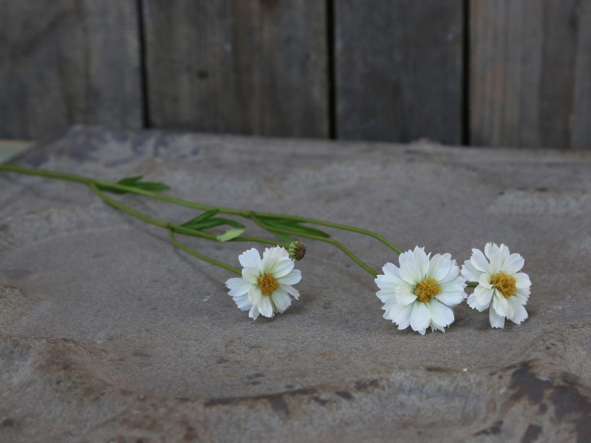 Chic Antique Fleur Gräben Kante Blume 5 online kaufen bei SKANDEKO (Ansicht 2)