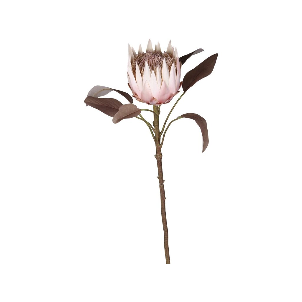 Chic Antique Fleur Kunstblume Protea online kaufen bei SKANDEKO