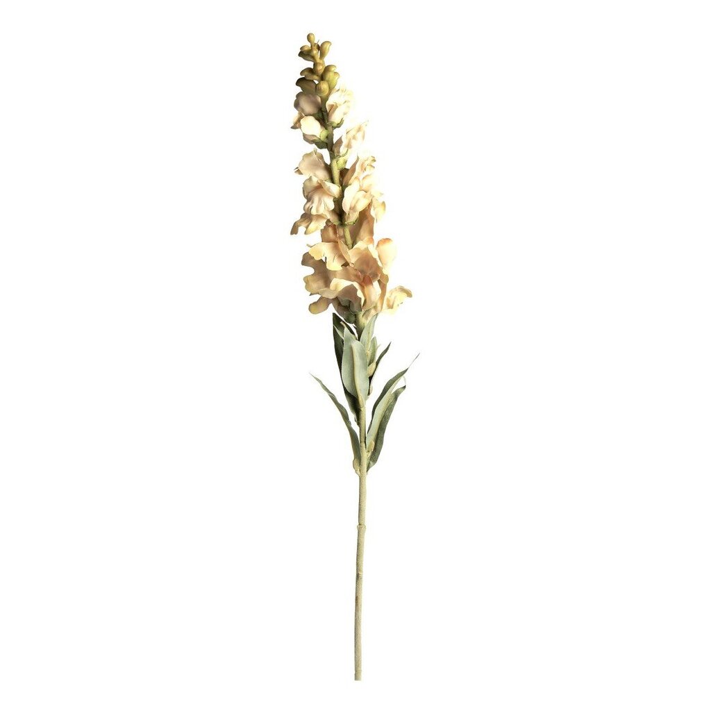 Chic Antique Fleur Löwenmäuler online kaufen bei SKANDEKO