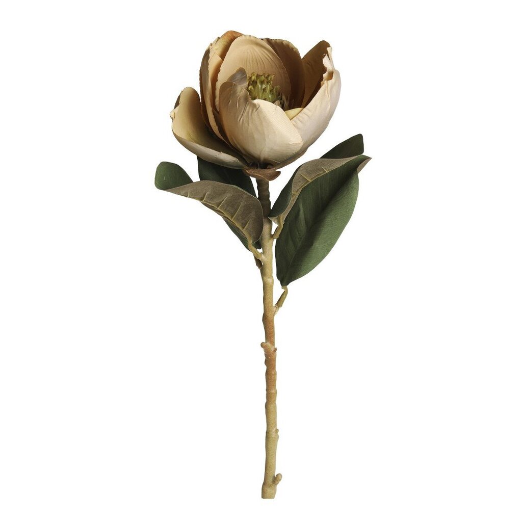 Chic Antique Fleur Magnolia online kaufen bei SKANDEKO