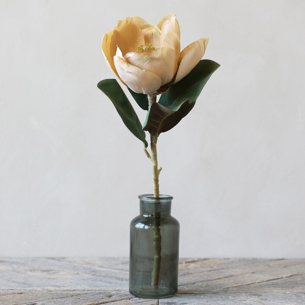 Fleur Magnolia