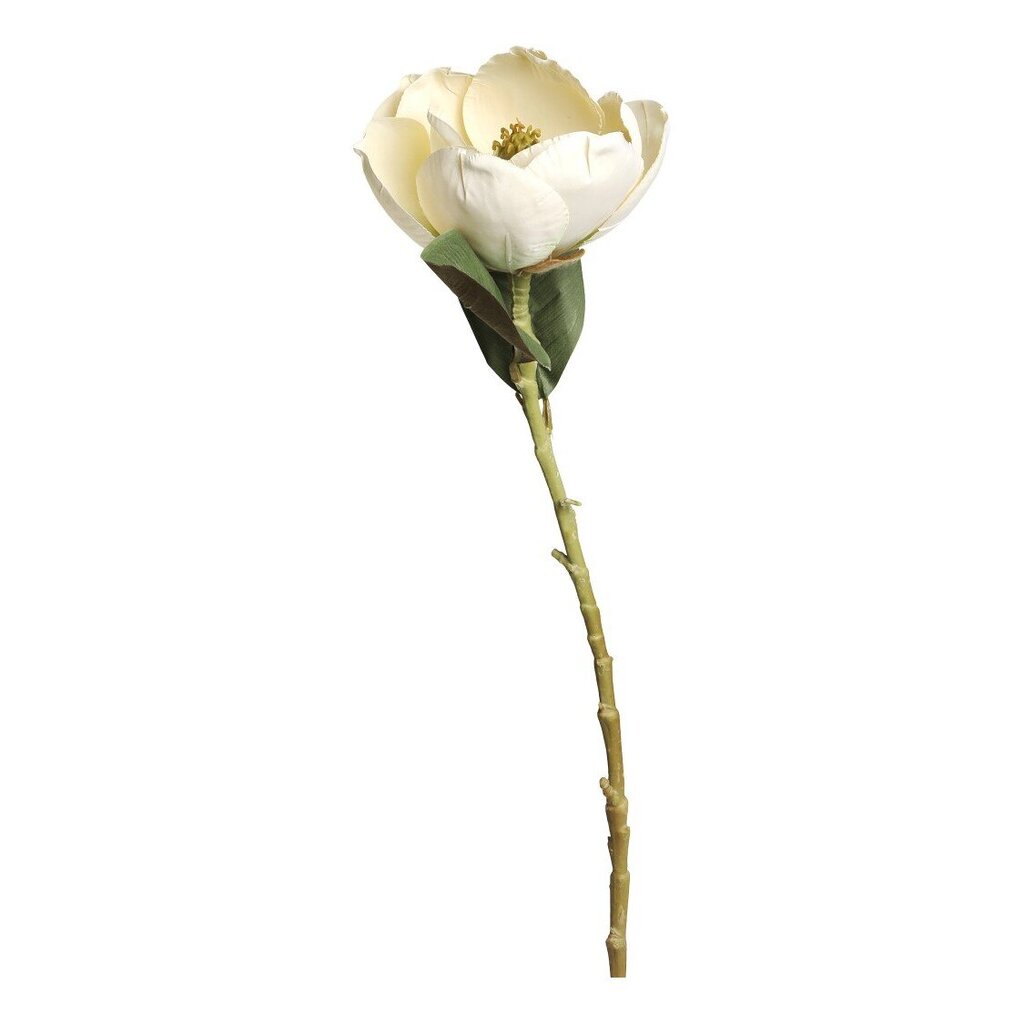 Fleur Magnolia