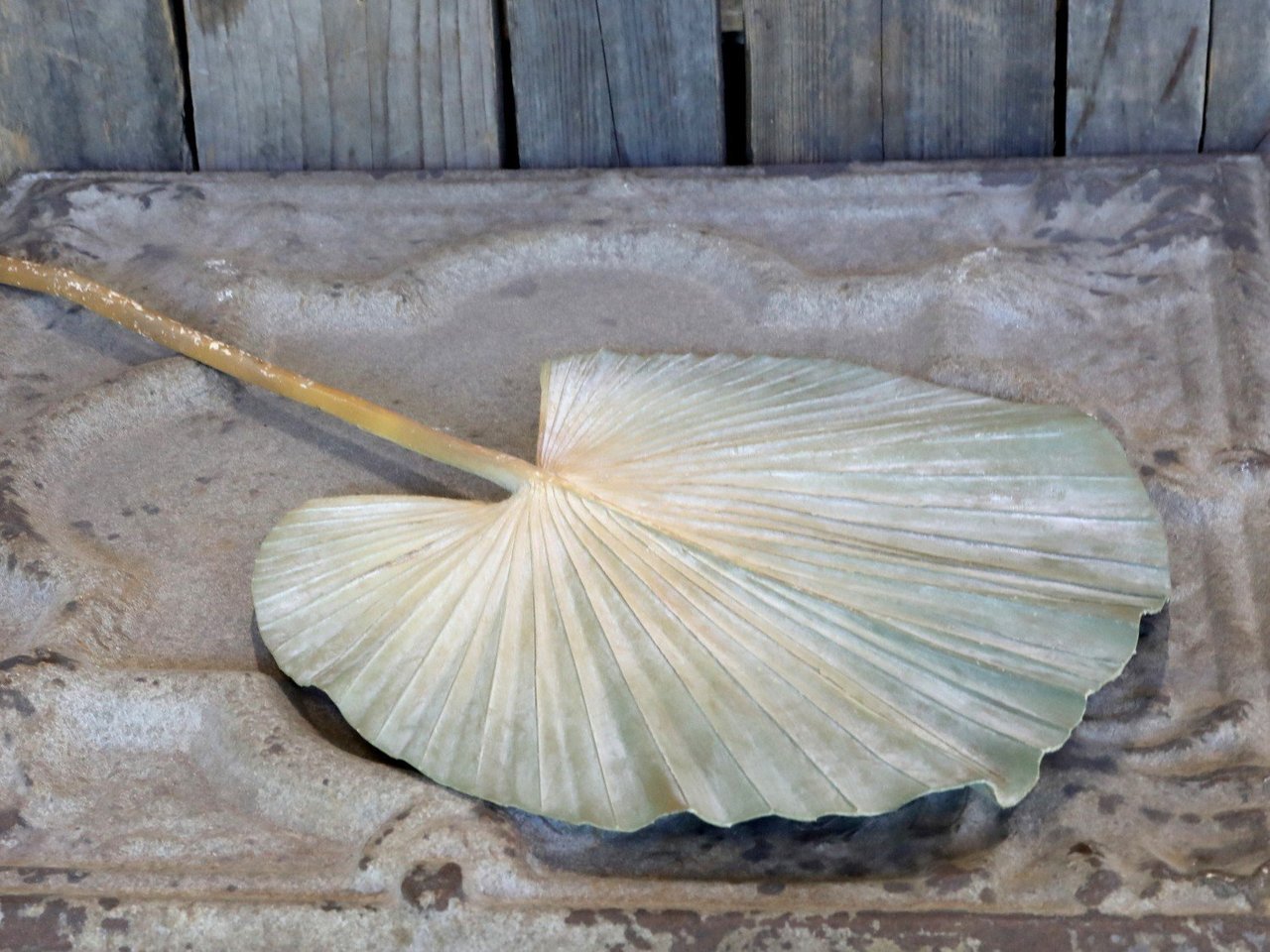 Chic Antique Kunstpflanze Palmen Blatt online kaufen bei SKANDEKO (Ansicht 2)