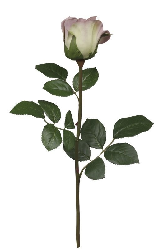 Chic Antique Fleur Rose lavendel online kaufen bei SKANDEKO