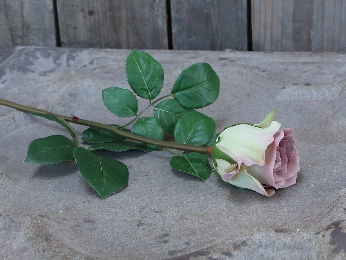 Chic Antique Fleur Rose lavendel online kaufen bei SKANDEKO (Ansicht 2)