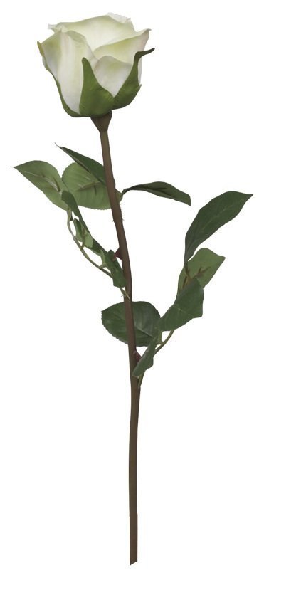 Chic Antique Fleur Rose weiß online kaufen bei SKANDEKO