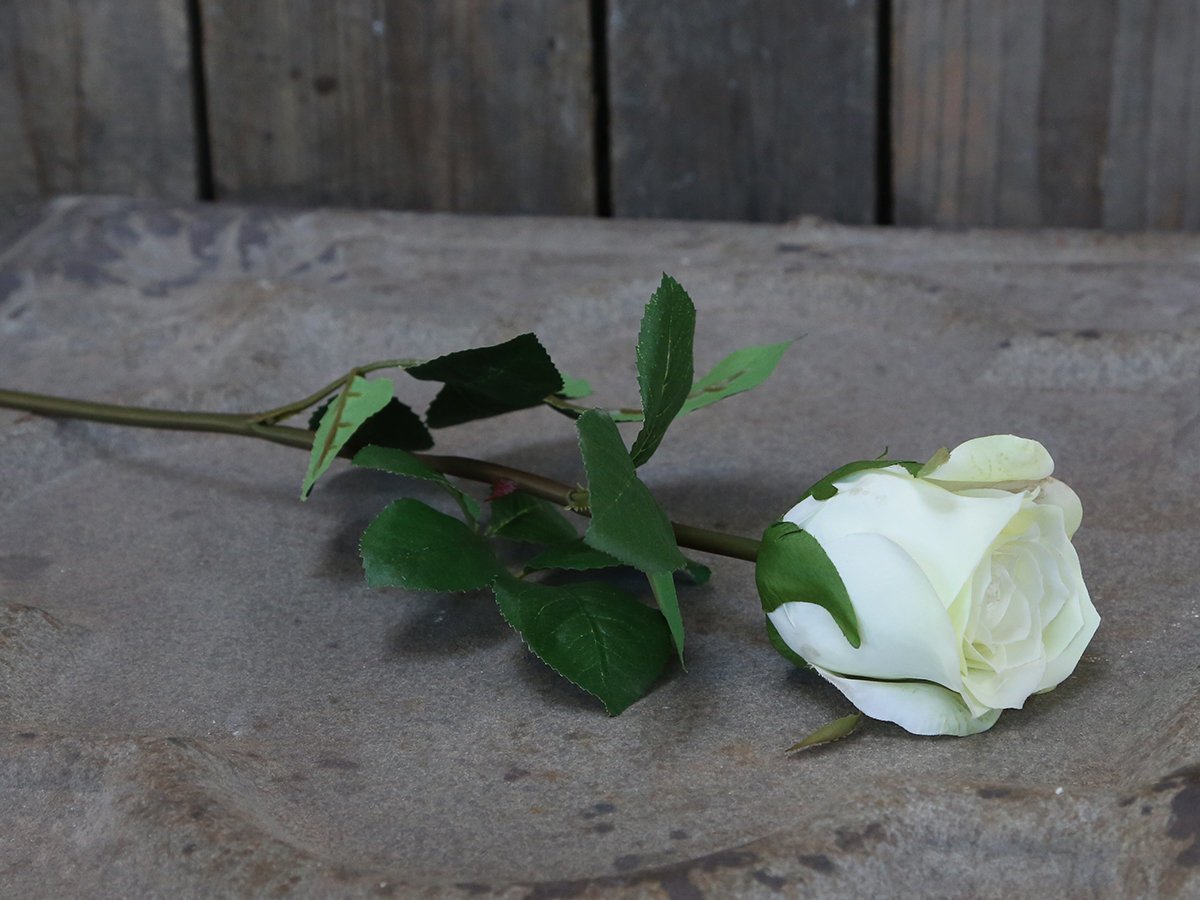 Chic Antique Fleur Rose weiß online kaufen bei SKANDEKO (Ansicht 2)