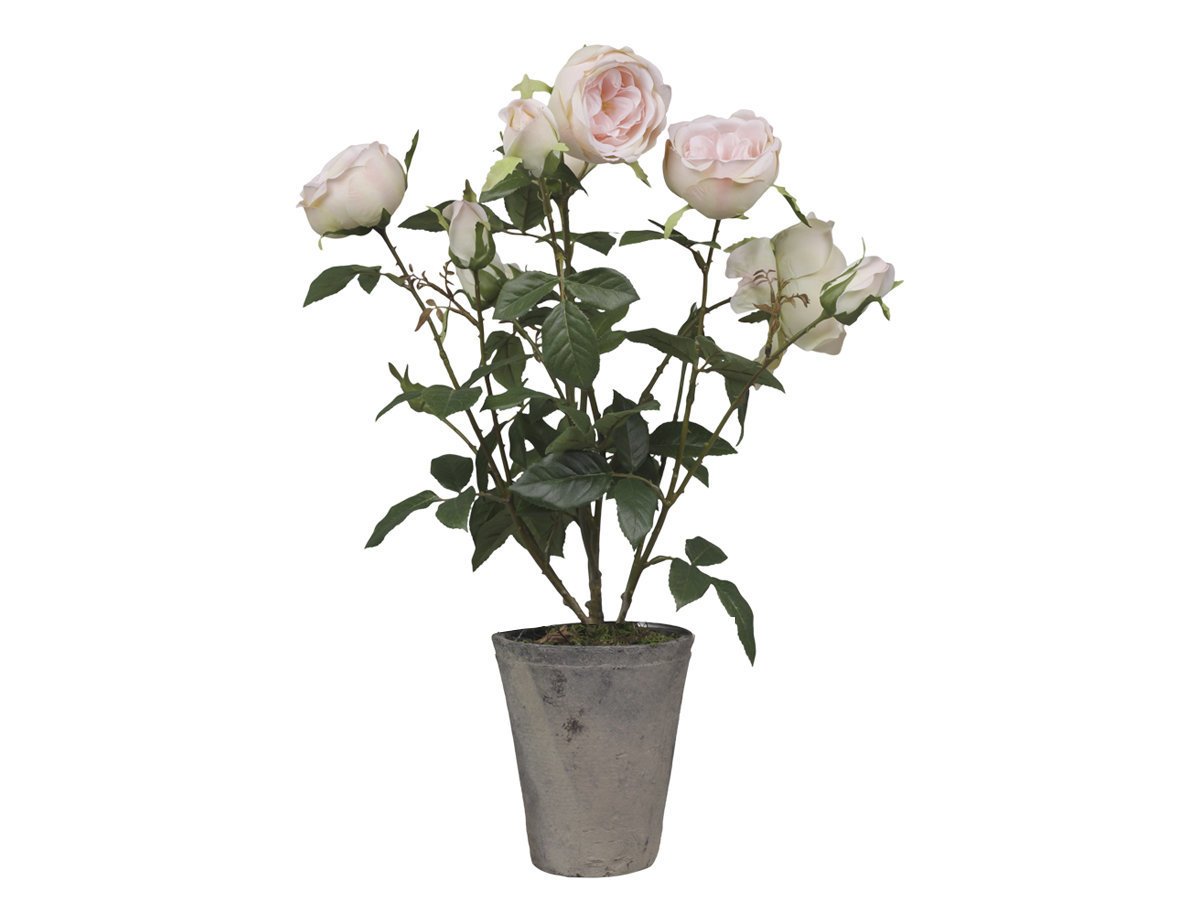 Chic Antique Fleur Rosenstrauch im Keramiktopf online kaufen bei SKANDEKO