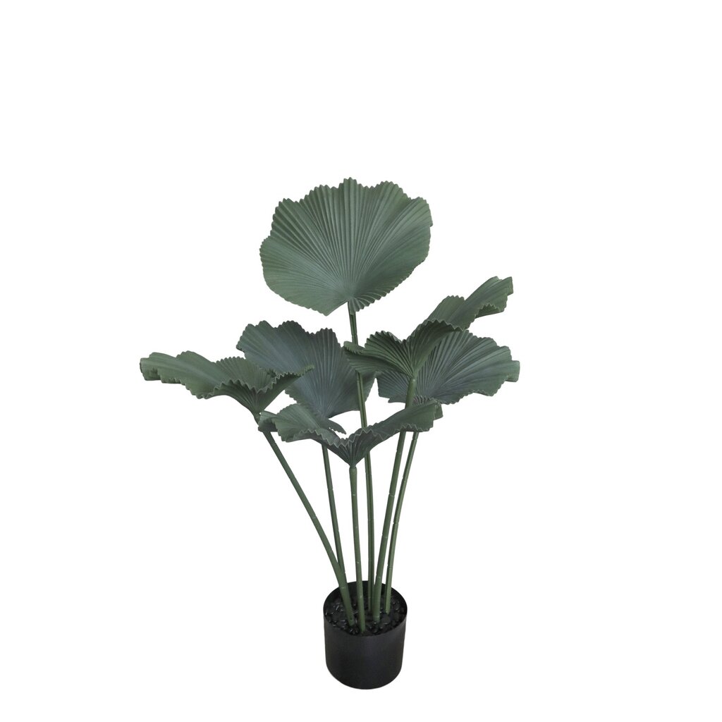 Chic Antique Fleur Strahlenpalme Kunstpflanze online kaufen bei SKANDEKO
