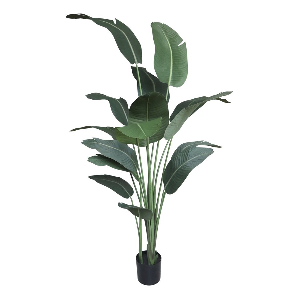Chic Antique Fleur Strelitzie Kunstpflanze online kaufen bei SKANDEKO