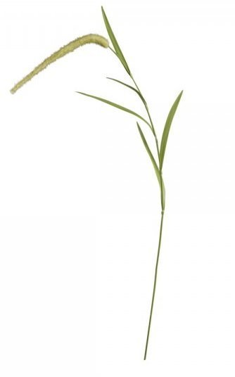Chic Antique Fleur Stroh online kaufen bei SKANDEKO