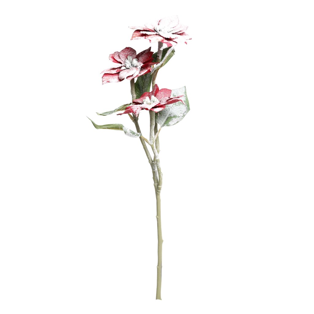 Fleur Weihnachtsstern mit Schnee und Glitzer