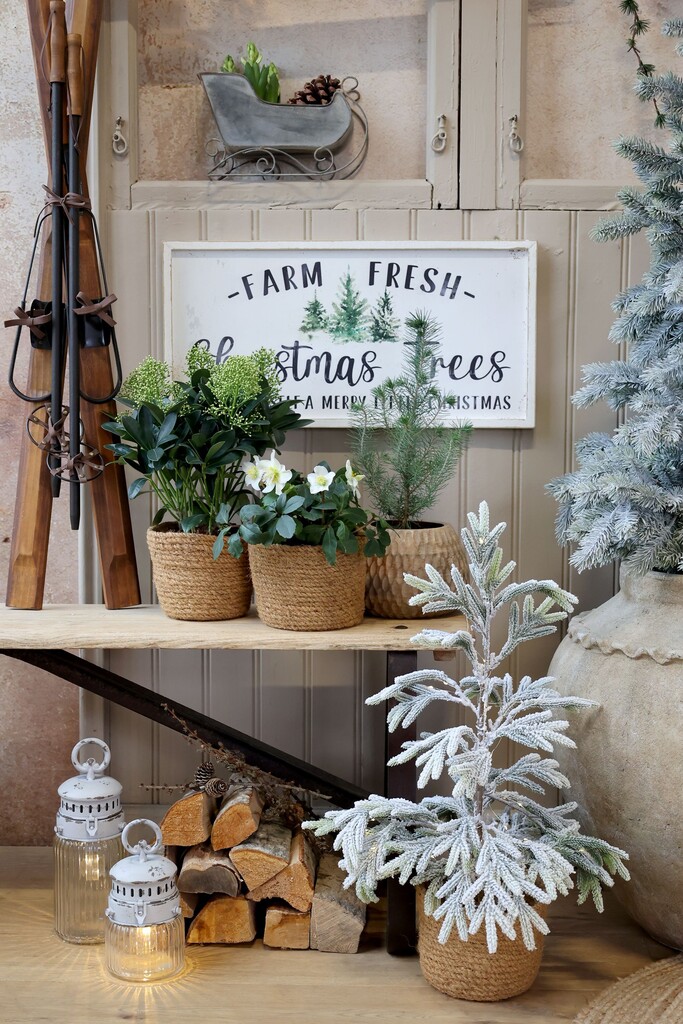 Chic Antique Französische Stalllaterne inkl. Birne & Timer weiß online kaufen bei SKANDEKO (Ansicht 2)