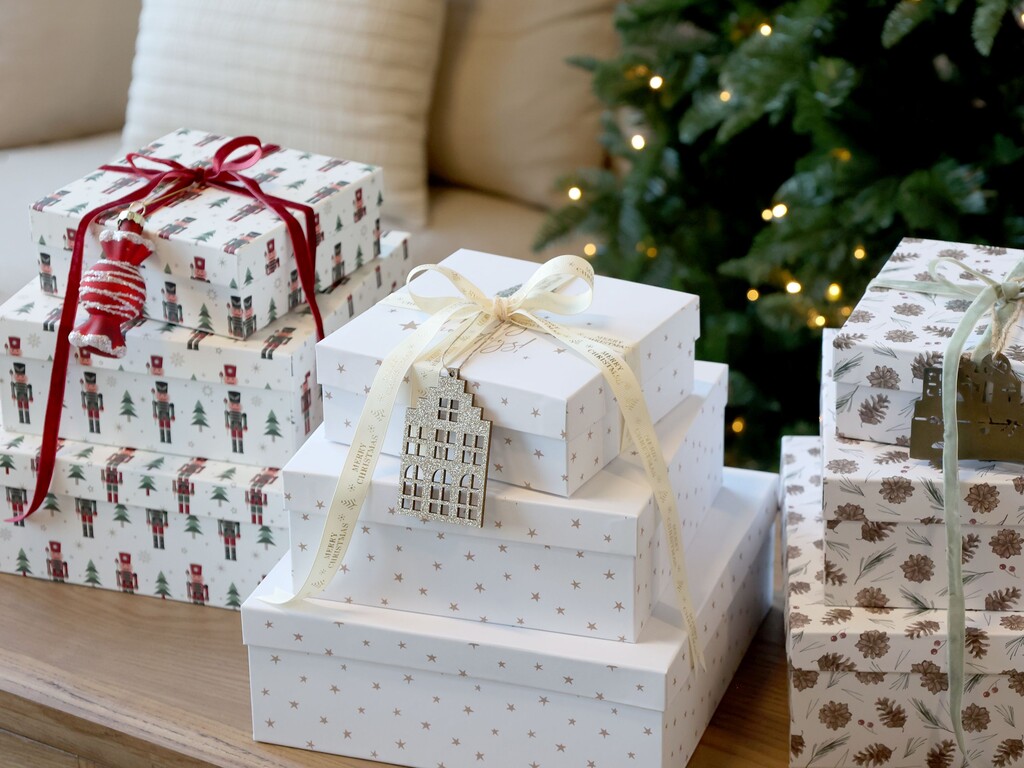 Chic Antique Geschenkbox 3er-Set mit Zapfen online kaufen bei SKANDEKO (Ansicht 2)