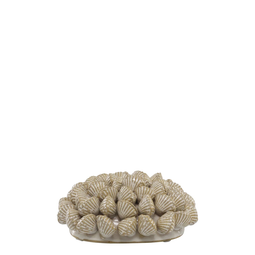 Chic Antique Koralle mit Muscheln für Deko online kaufen bei SKANDEKO
