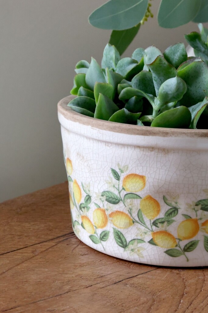 Chic Antique Pflanztopf Limone Blossom