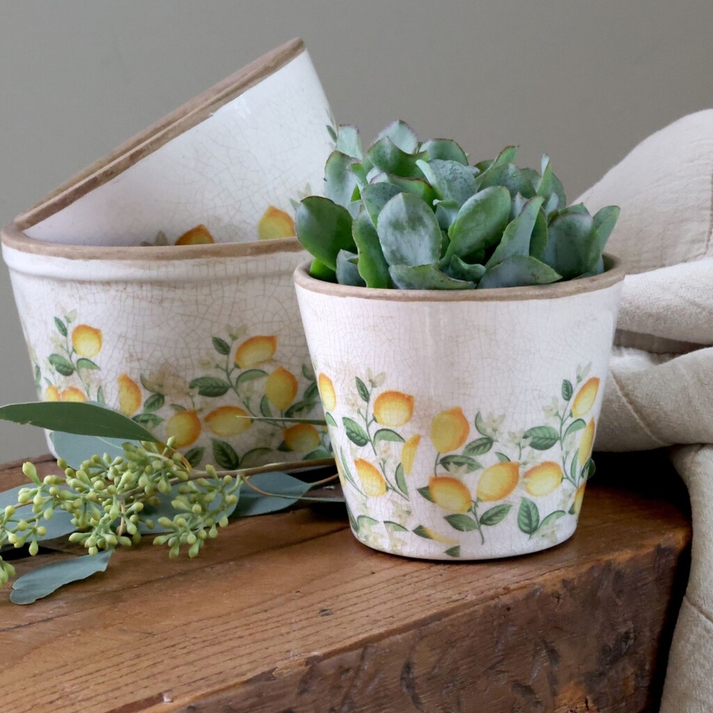 Übertopf Limone Blossom – Vintage Keramik mit Zitronenmotiv