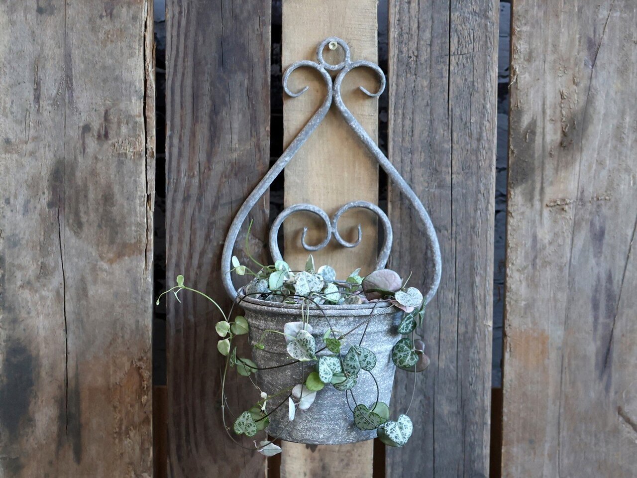 Chic Antique Übertopf als Wandbehang online kaufen bei SKANDEKO (Ansicht 2)