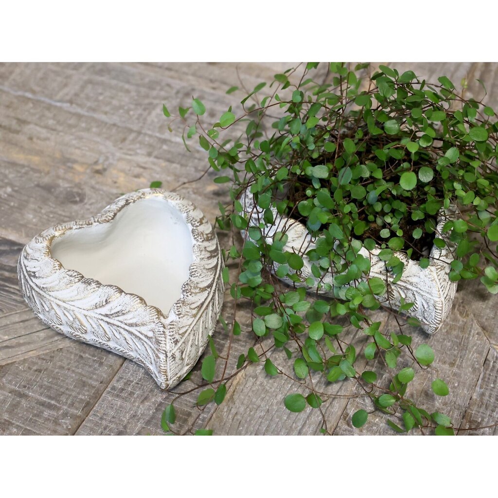 Chic Antique Vittel Blumentopf Herz online kaufen bei SKANDEKO (Ansicht 2)