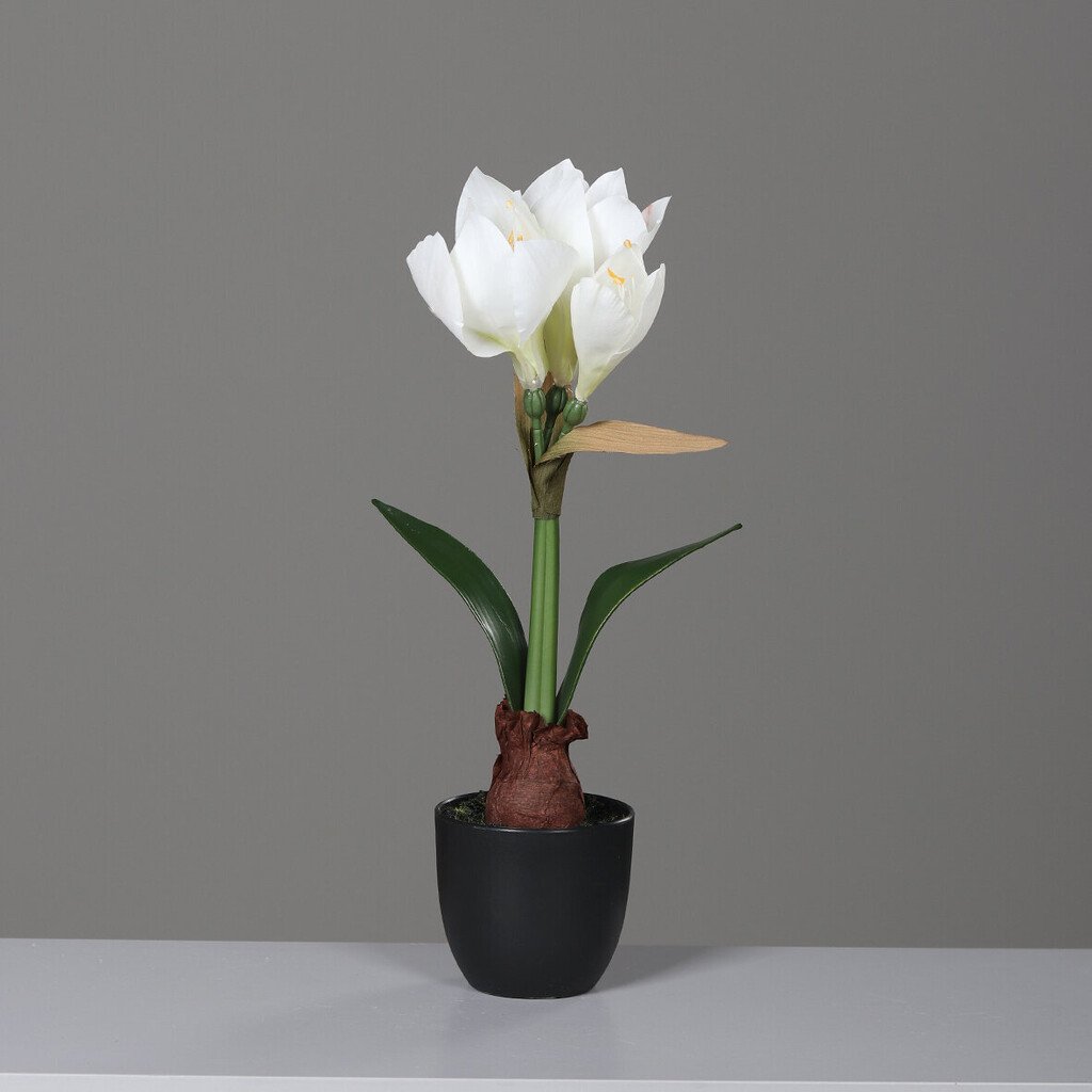 Künstliche Amaryllis im schwarzen Kunststofftopf