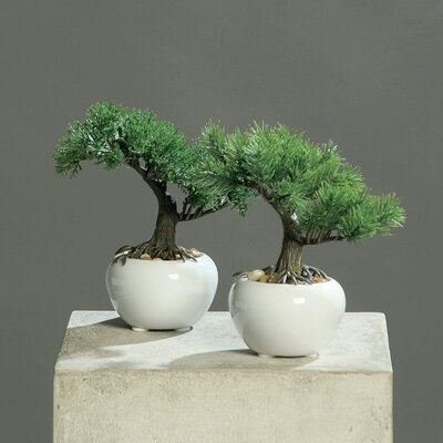 dpi Künstlicher Bonsai im weißen Keramik Topf online kaufen bei SKANDEKO (Ansicht 2)