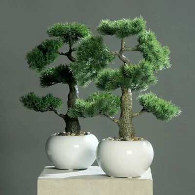 dpi Künstlicher Bonsai im weißen Keramik Topf online kaufen bei SKANDEKO