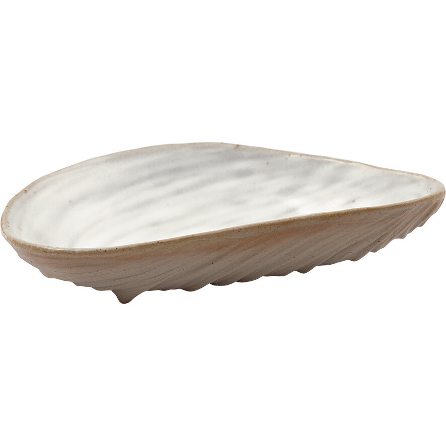 Muschelteller