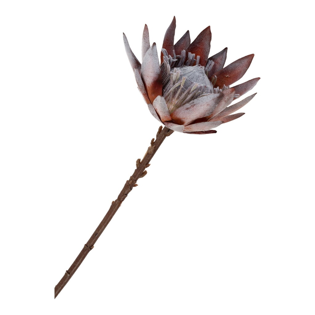 King Protea Bouquet, Künstlilcher Blumenstrauß
