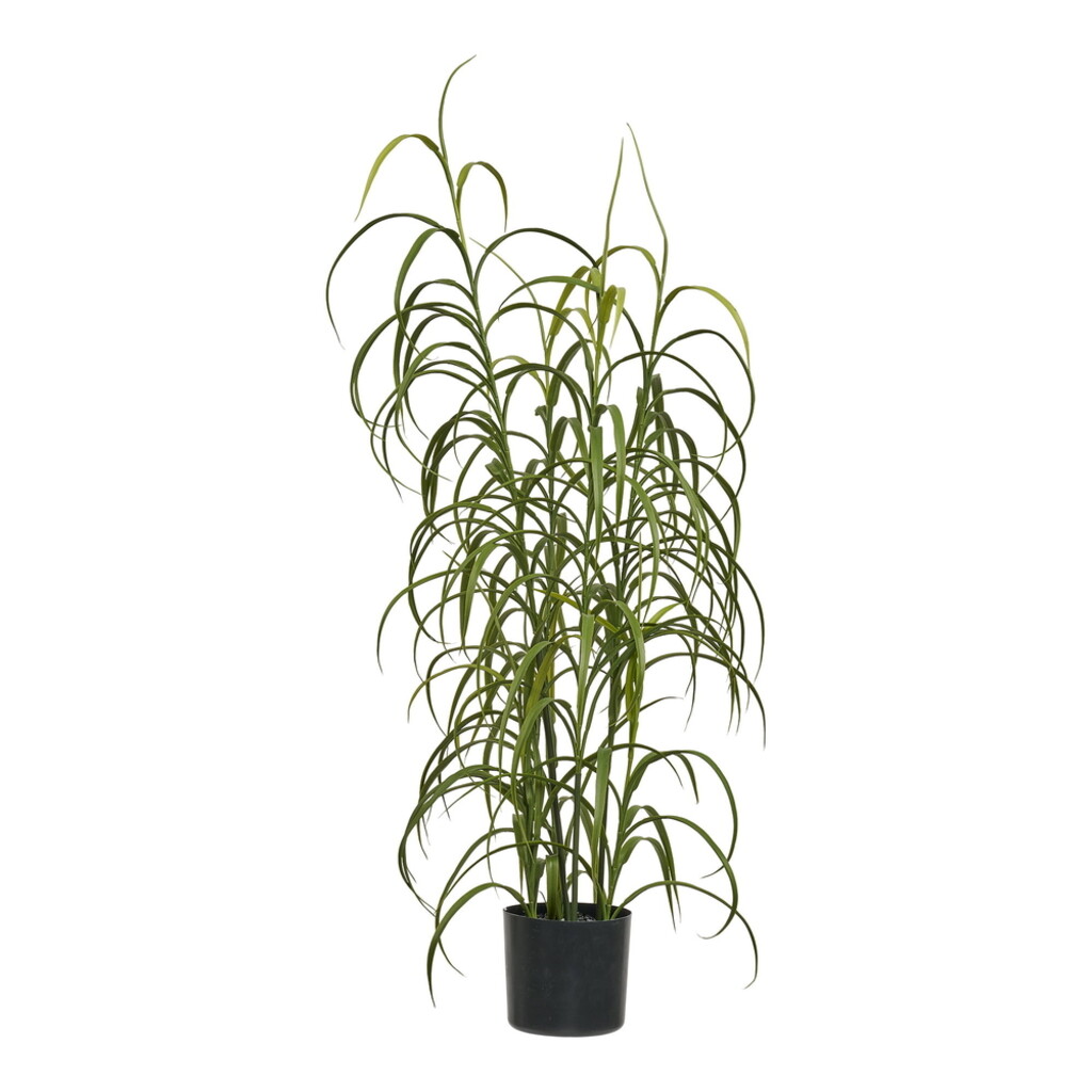 House Nordic künstliche Graspflanze Grün H:68 cm online kaufen bei SKANDEKO