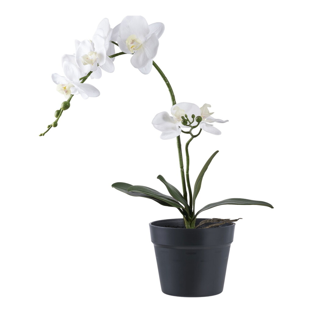 House Nordic Künstliche Orchidee im Topf online kaufen bei SKANDEKO